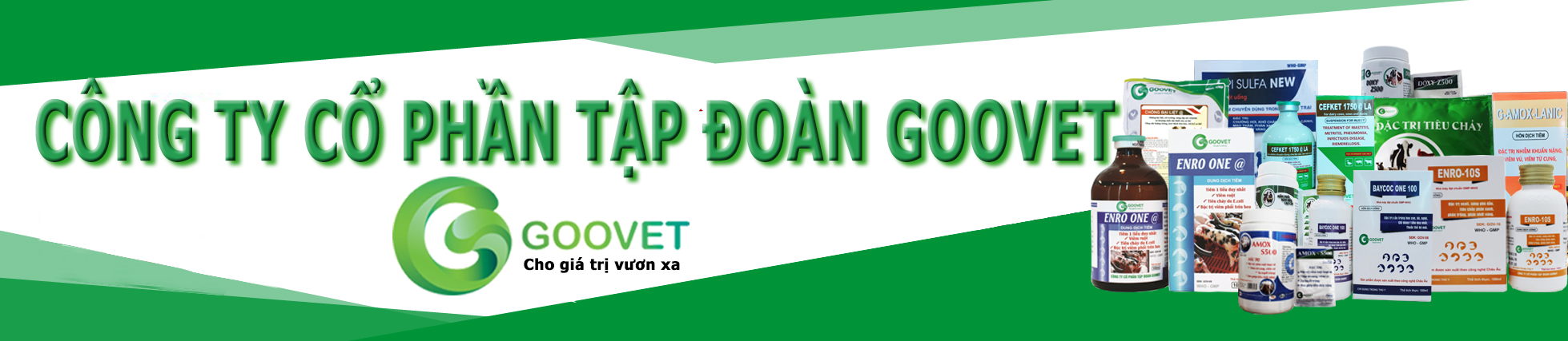 20181123075012bannergoovet